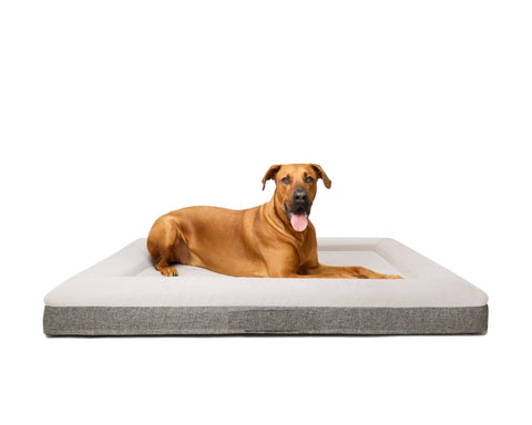 Fur King "Ortho" Orthopedic Dog Bed - XL