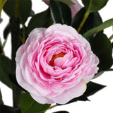 Flowering Pink Artificial Camellia Tree 180cm