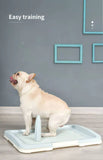 Medium Portable Dog Potty Training Tray Pet Puppy Toilet Trays Loo Pad Mat Blue
