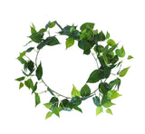 Long Philodendron Garland 190cm